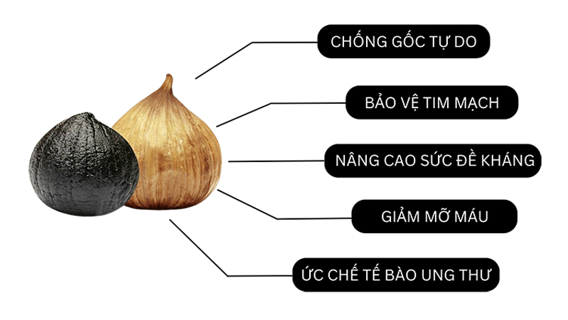 tỏi đen đà nẵng