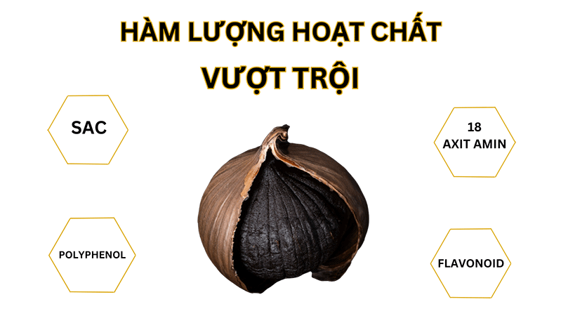 tỏi đen đà nẵng