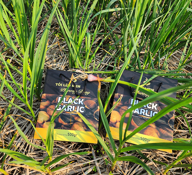 củ tỏi đen đà nẵng